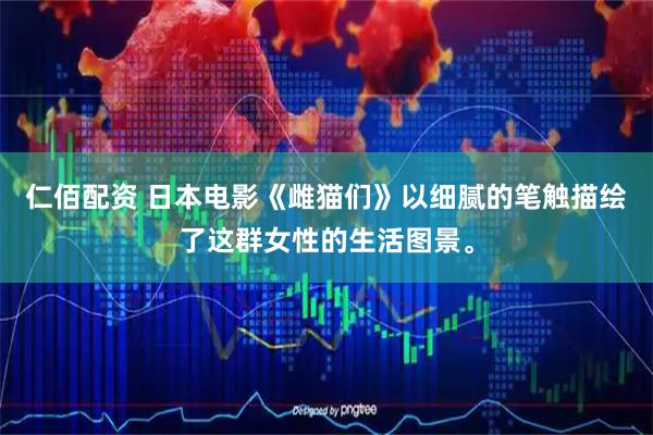 仁佰配资 日本电影《雌猫们》以细腻的笔触描绘了这群女性的生活图景。
